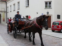 Pielgrzymka do Niepokalanowa, 09.07.2022